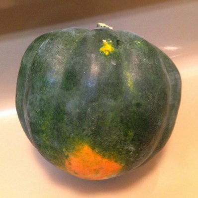 baked acorn squash seeds garlic salt vegan snack healthy